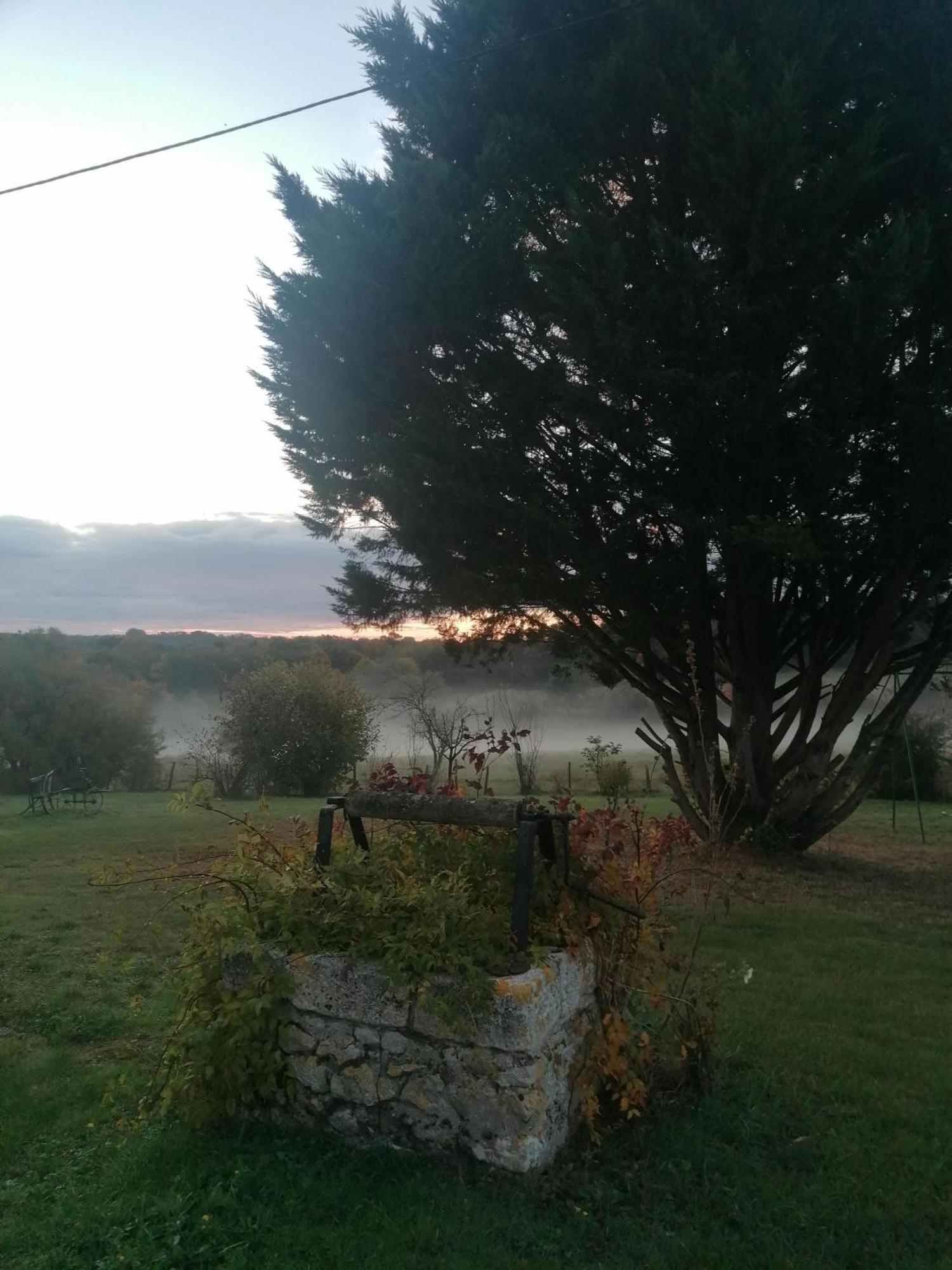 Gite 4 Pers, Jacuzzi, Piscine, Proche Futuroscope, Calme Et Nature A La Roche Posay La Roche-Posay Kültér fotó
