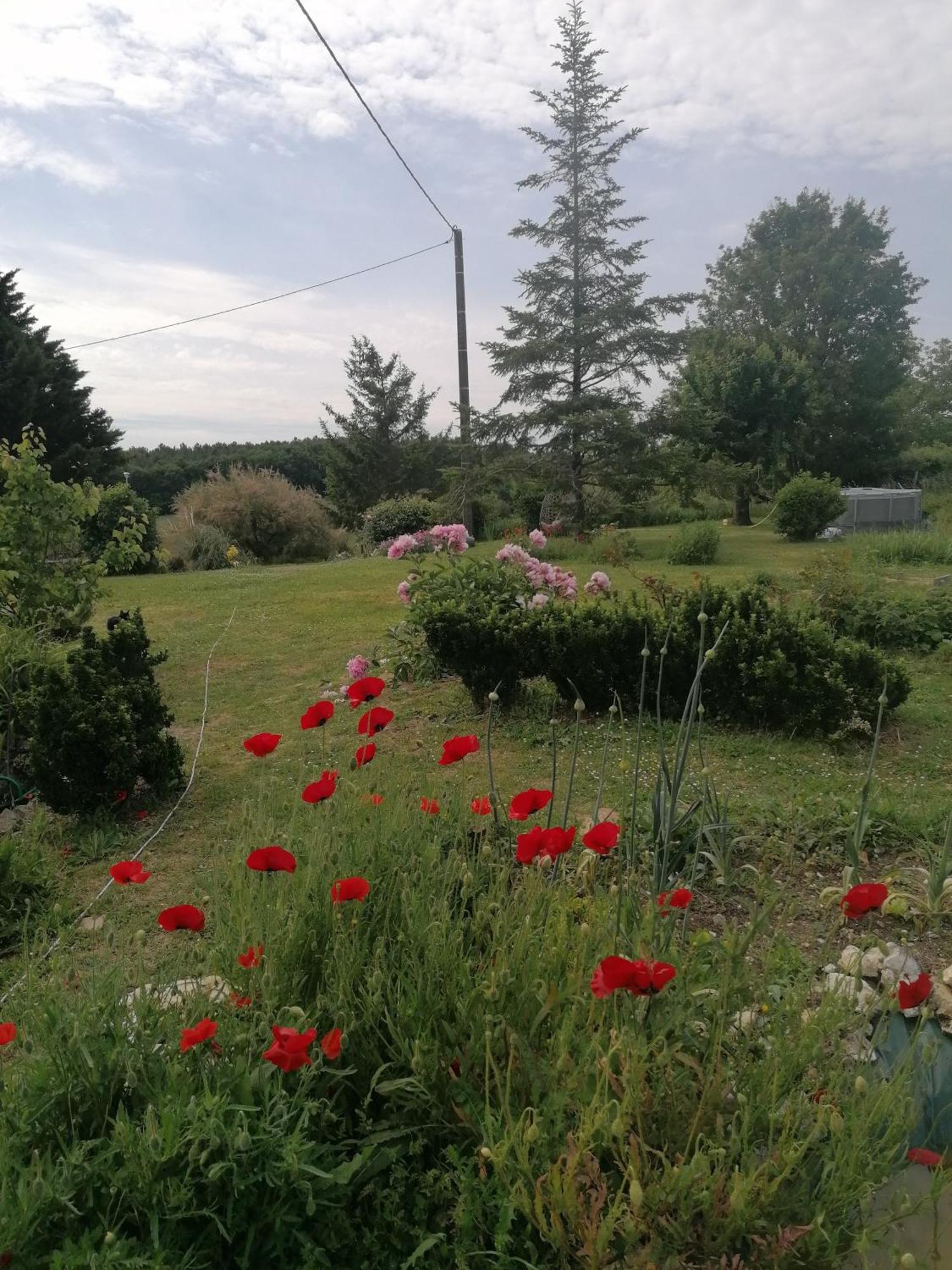 Gite 4 Pers, Jacuzzi, Piscine, Proche Futuroscope, Calme Et Nature A La Roche Posay La Roche-Posay Kültér fotó