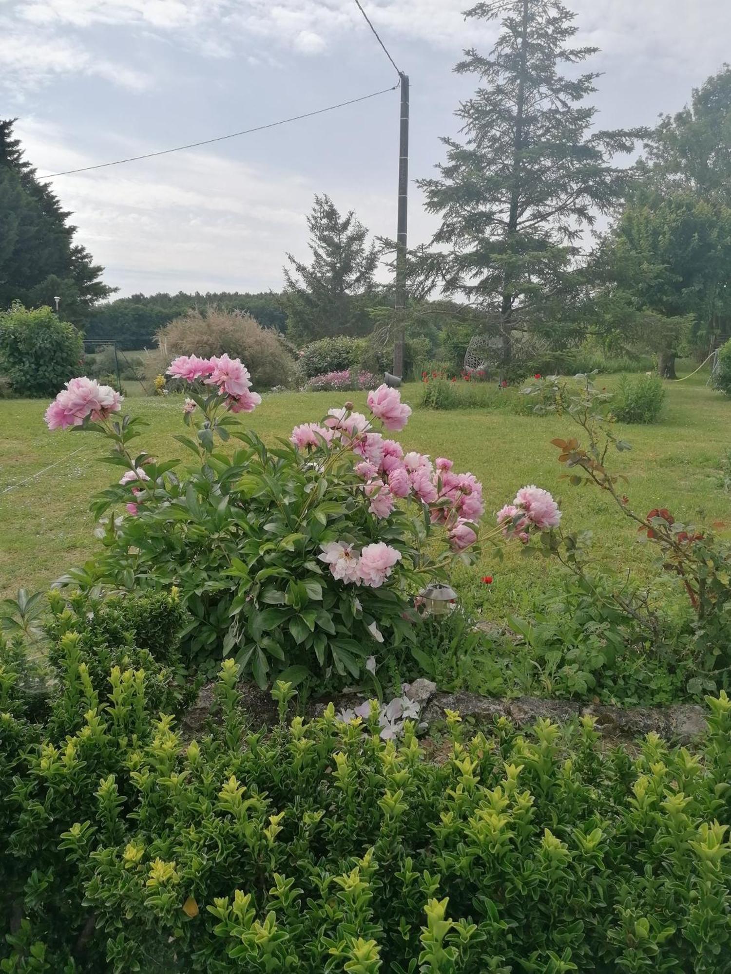 Gite 4 Pers, Jacuzzi, Piscine, Proche Futuroscope, Calme Et Nature A La Roche Posay La Roche-Posay Kültér fotó