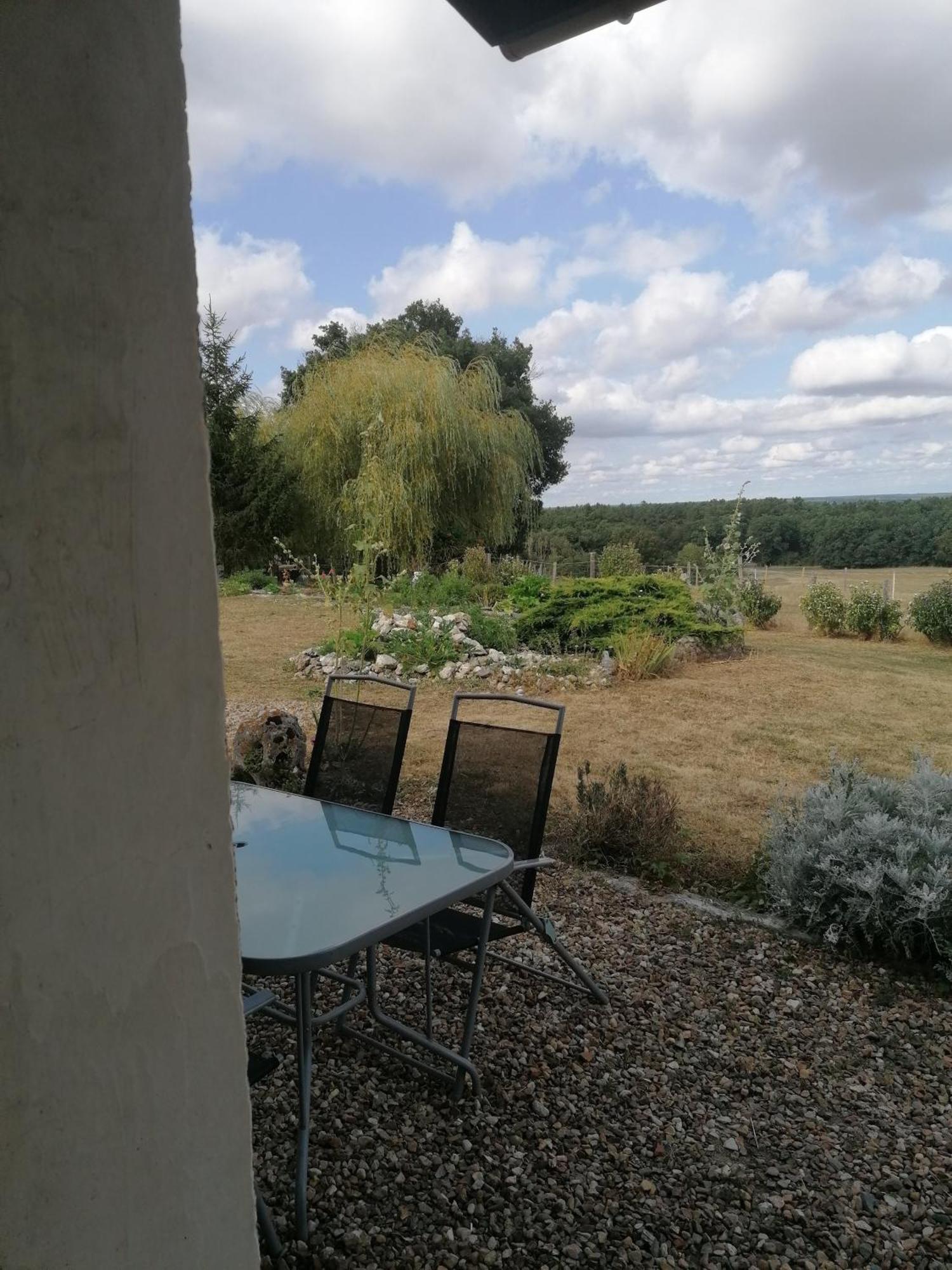 Gite 4 Pers, Jacuzzi, Piscine, Proche Futuroscope, Calme Et Nature A La Roche Posay La Roche-Posay Kültér fotó