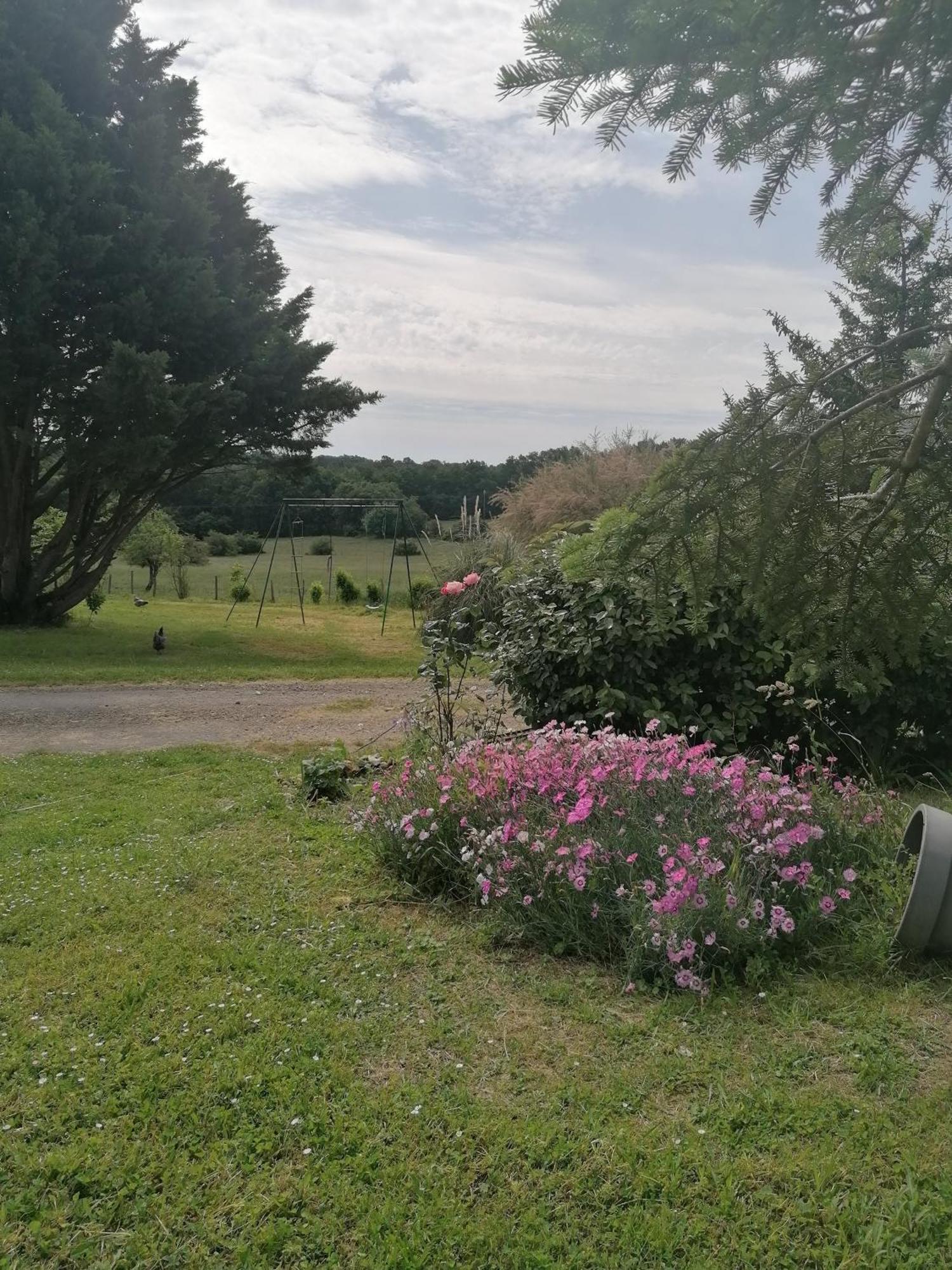 Gite 4 Pers, Jacuzzi, Piscine, Proche Futuroscope, Calme Et Nature A La Roche Posay La Roche-Posay Kültér fotó