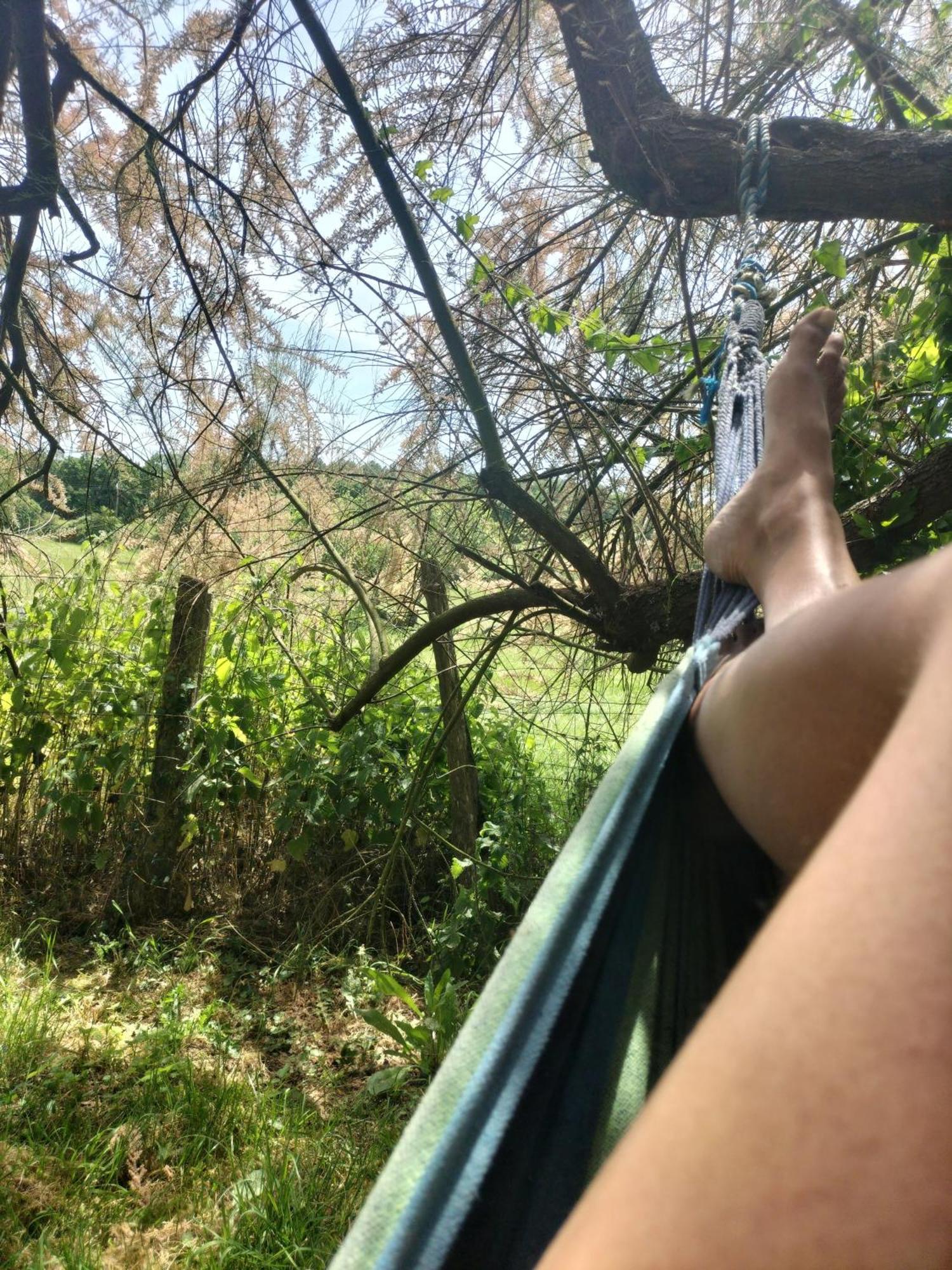 Gite 4 Pers, Jacuzzi, Piscine, Proche Futuroscope, Calme Et Nature A La Roche Posay La Roche-Posay Kültér fotó